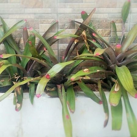 Homestay Bumi Asri III Cikutra 반둥 외부 사진