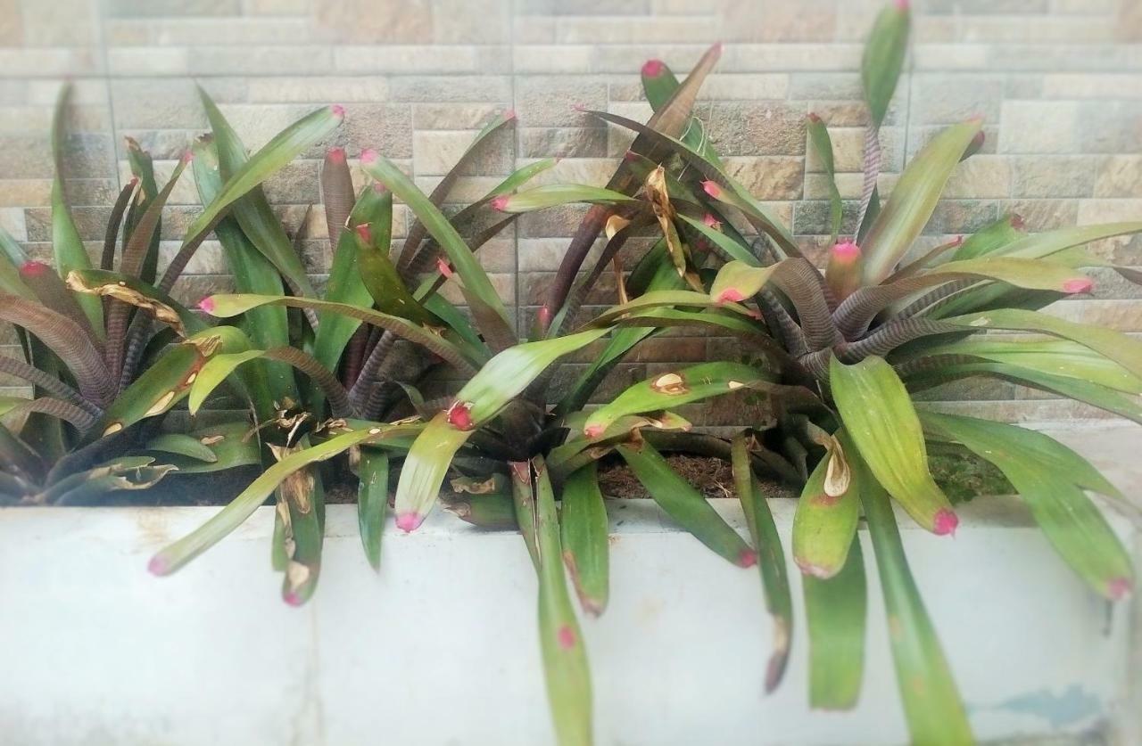 Homestay Bumi Asri III Cikutra 반둥 외부 사진